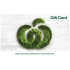 Woolworths eGift Card - $50