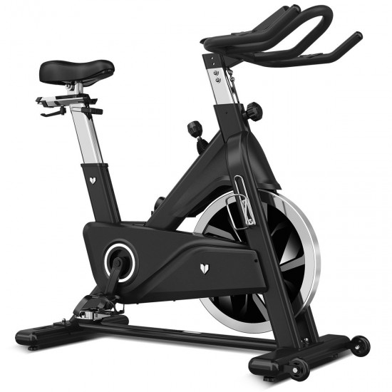 Lifespan Fitness SM800 Lifespan Fitness Commercial Spin Bike