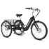 Progear E-Free FX 24" Folding E-Trike